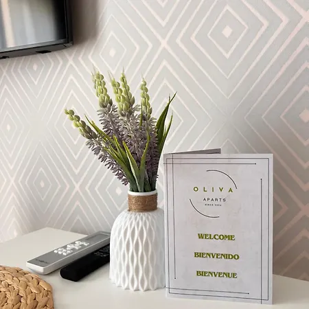 Oliva 203 New 2024 Apartamento *